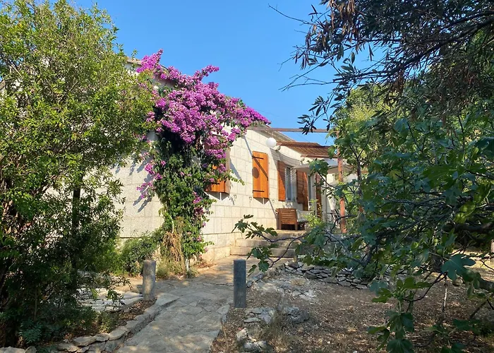 House With A Parking Space Hvar - 22224 Feriehus